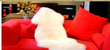 Long Wool Natural Premium Australian Sheepskin Fluffy Geniune Single Rug - UGGFace